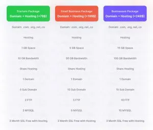 website development cost