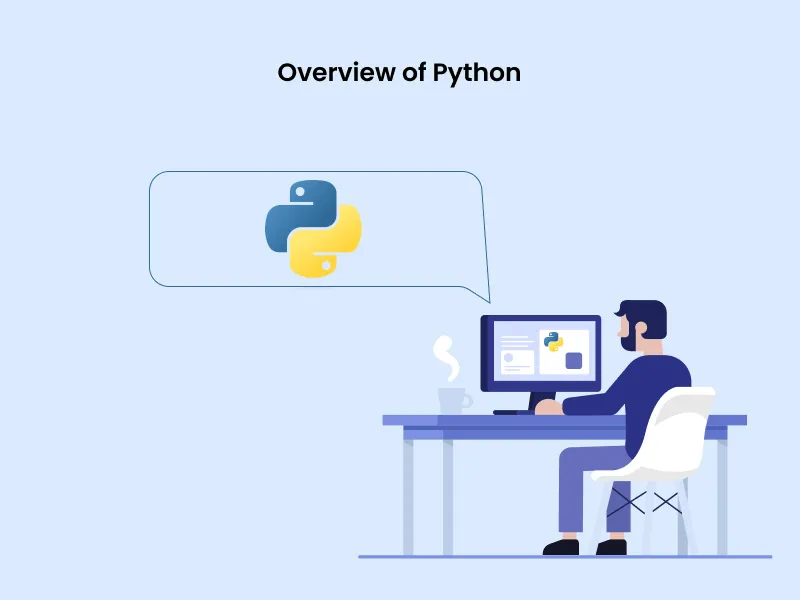 Overview of Python