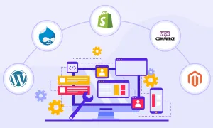 6 Top CMS Platforms To Help Develop Your Business Website Are you looking for a content management system that can help you create the digital connection you need?